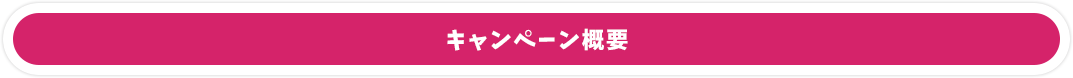 キャンペーン概要