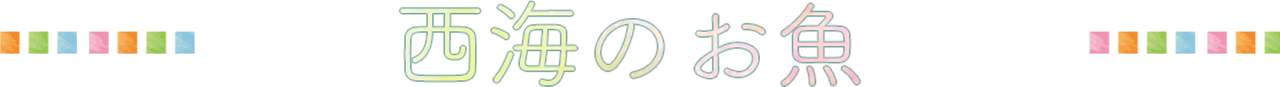 西海のお魚