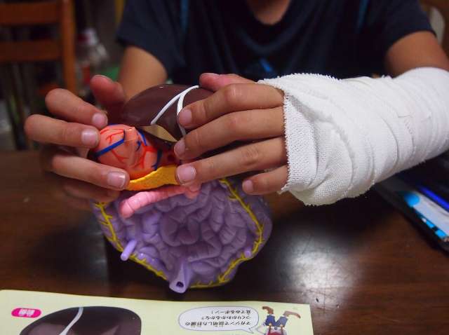息子、手首を負傷中につき、ギプス着用ですが、それでも今回の作業はじゅうぶんできます。