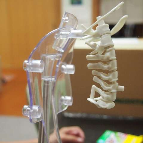 前回つくった骨をとりつけると…なんだかこういう生き物みたいです