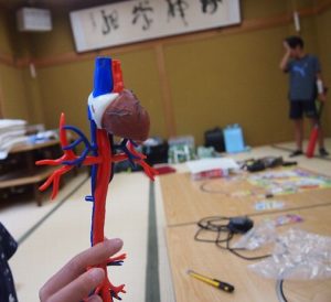 心臓から出てゆく血管、心臓に帰ってくる血管ができました