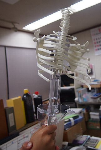 だいぶ増えました