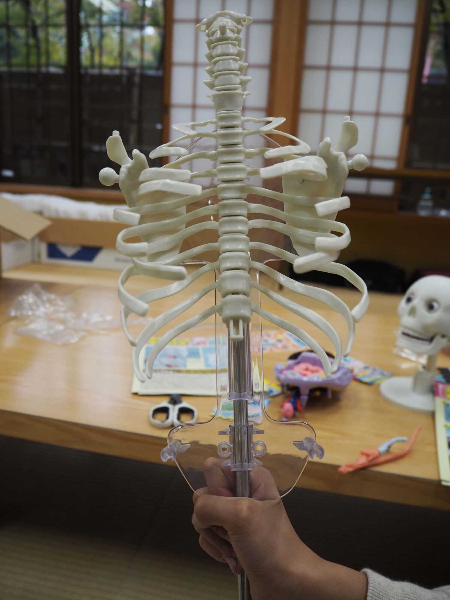 つきました