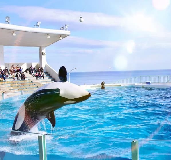 鴨川シーワールド