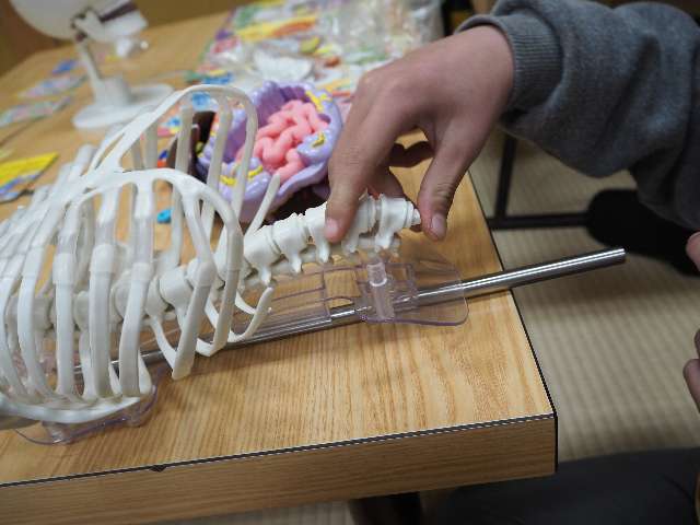 椎間板ヘルニアとか、ここの骨あたりを痛めているお父さんお母さんたち、がんばって!の気持ちを込めて作業