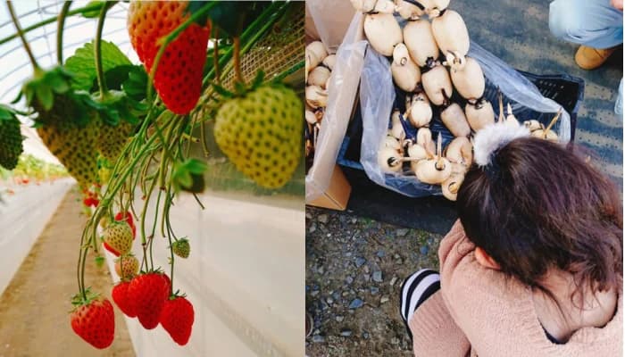 土浦社会科見学ツアー