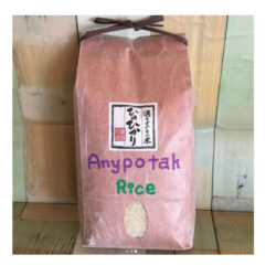 anypotak1-1-1
