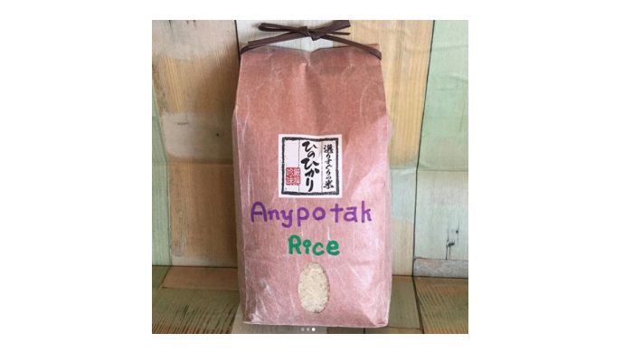 anypotak1-1-1