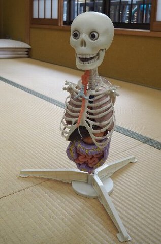 ネジ止め完了。ドヤ!