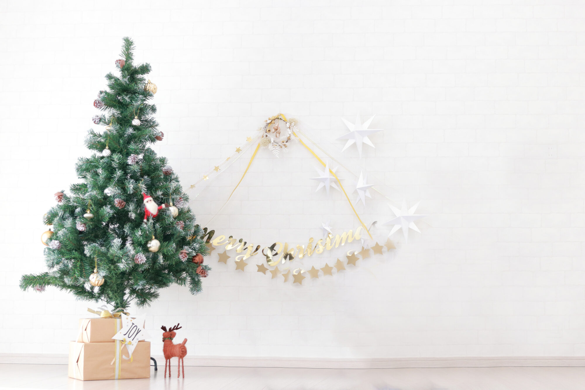 クリスマス撮影会