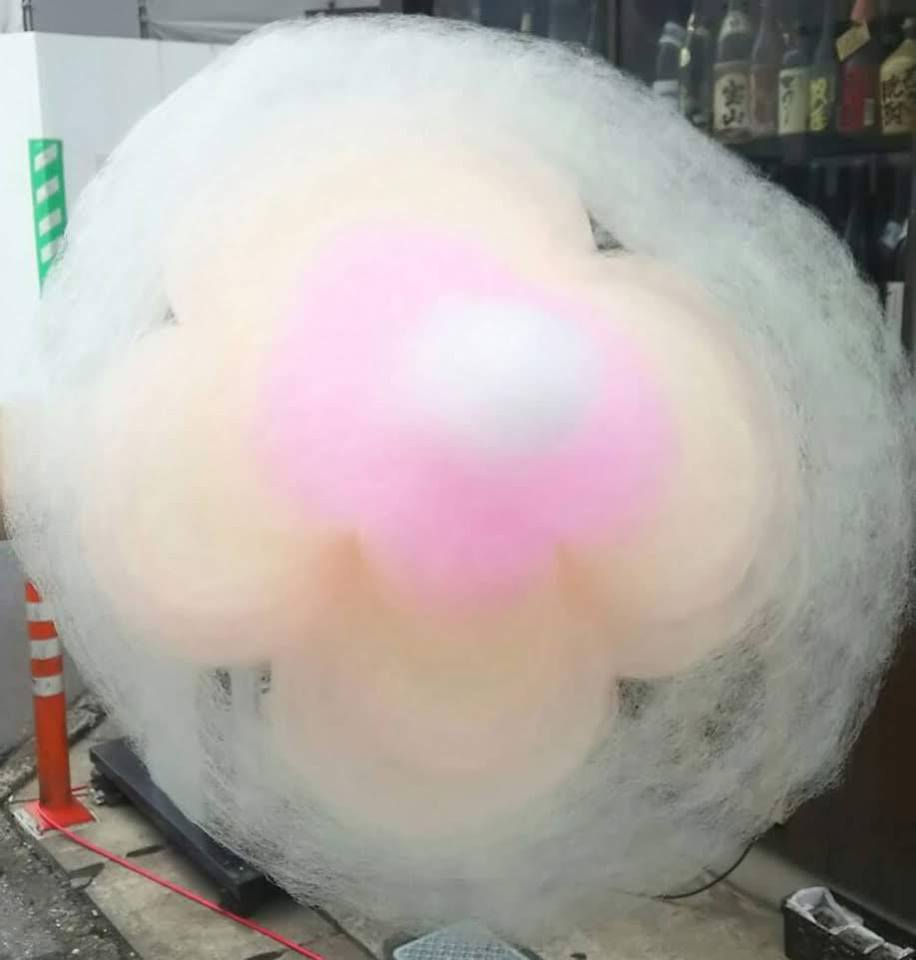 大輝の店