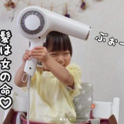 tescomdryer03-1