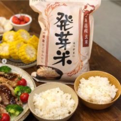 fancelhatugagenmai01-1