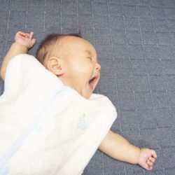 babygoosesleeper01-2