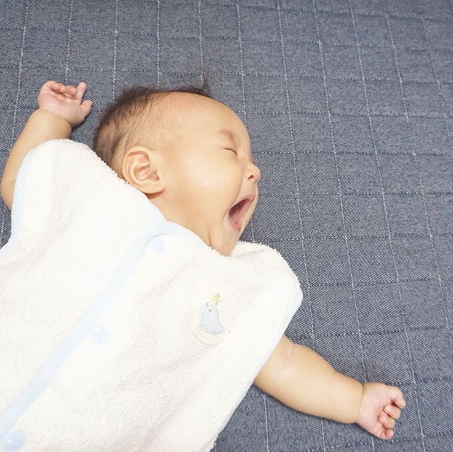 babygoosesleeper01-2