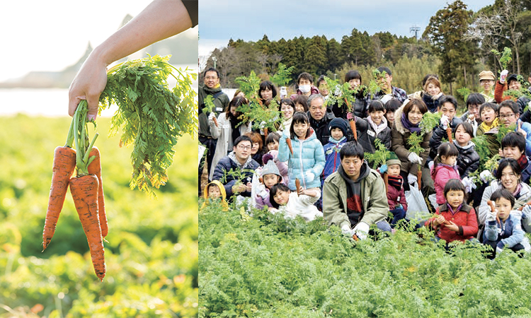 伊藤園オリジナルにんじん「朱衣」収穫祭のお出かけモニター募集！