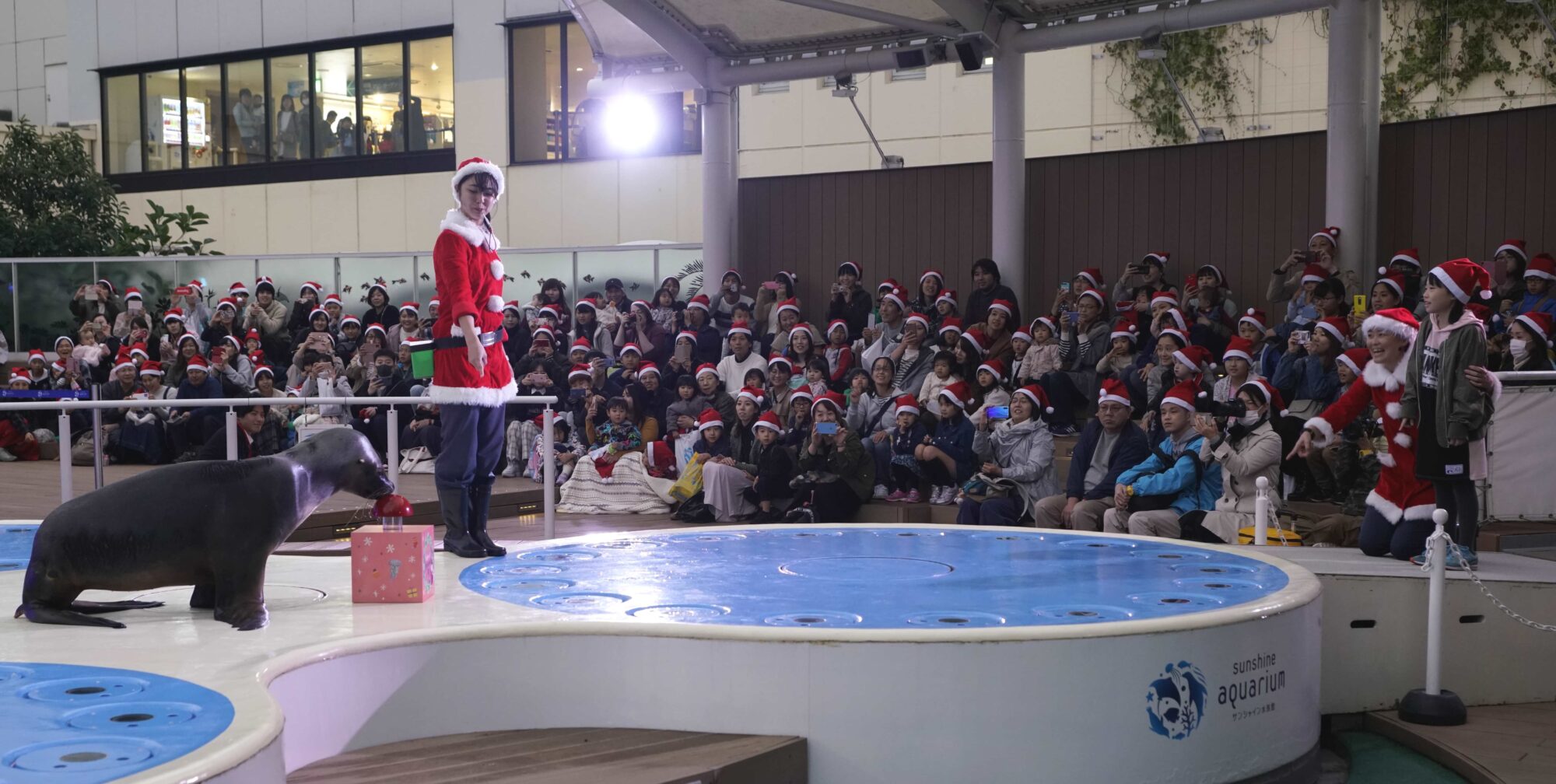 プレゼント Pingu ｓchristmas In サンシャイン水族館 親子ペア入場券 ママノワ