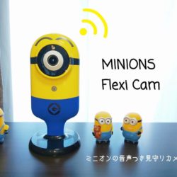 Flexi_Cams03-1