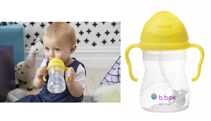 bboxsippy cup