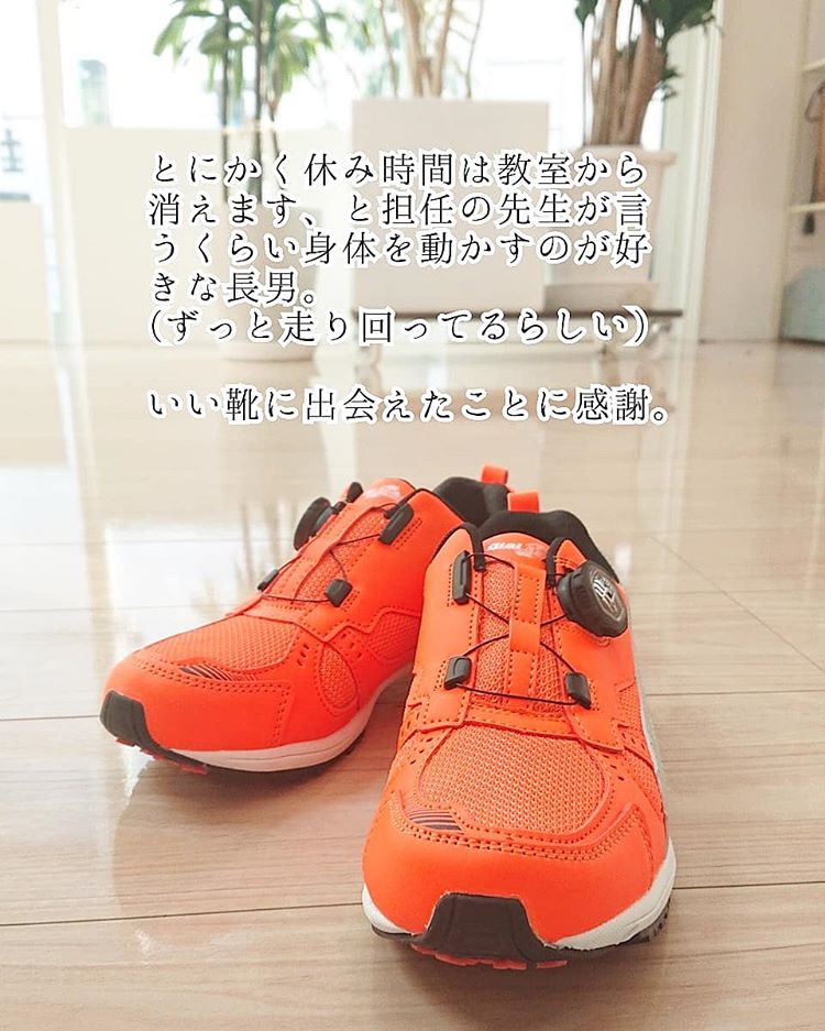ダイヤル ドライブ