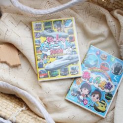 vicomtraindvd01-1