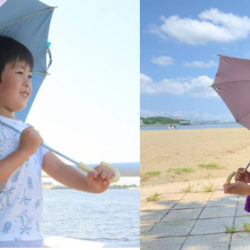 kukka hippohigasatop