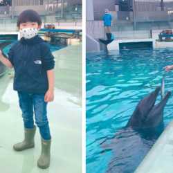 しながわ水族館と「イルカトレーナー体験」おでかけモニターの口コミ！