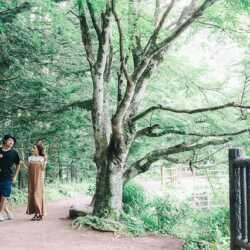 232969768_441326293532644_1032184462153847703_n