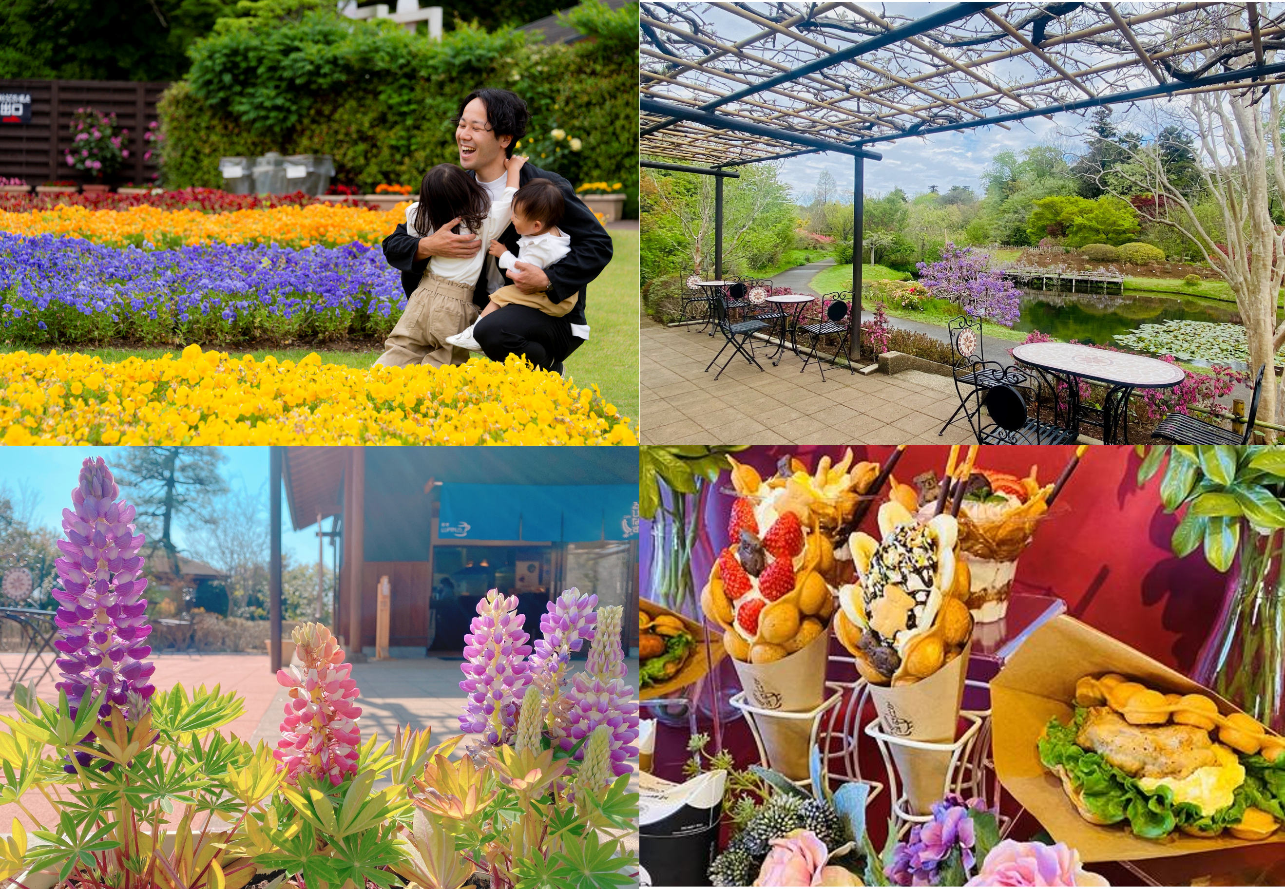 3月は人気のミモザが見ごろに♪「清水公園と花ファンタジア」のおでかけモニター募集！