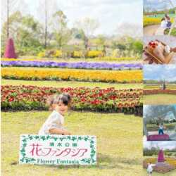 shimizuparktop2
