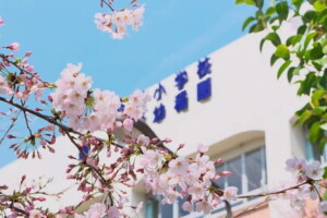 PTAとは