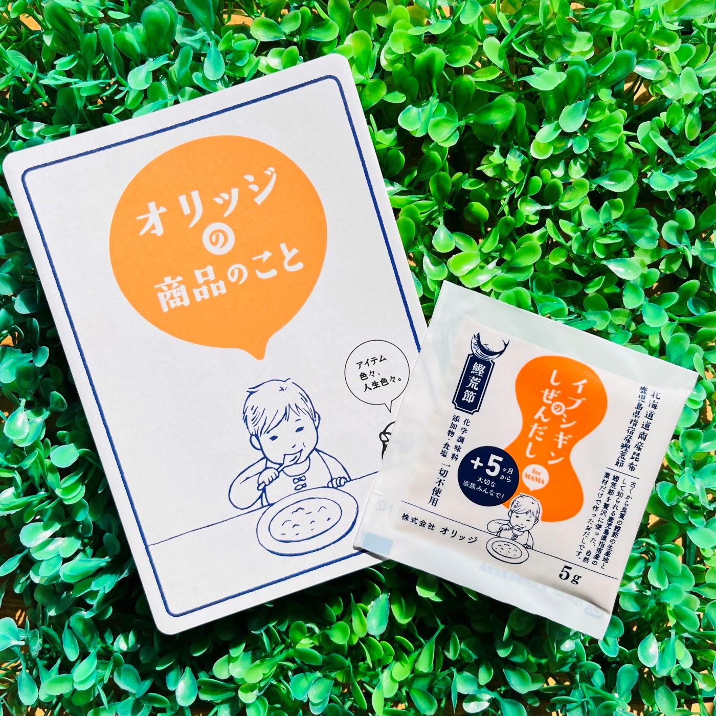 イブシギンのしぜんだし