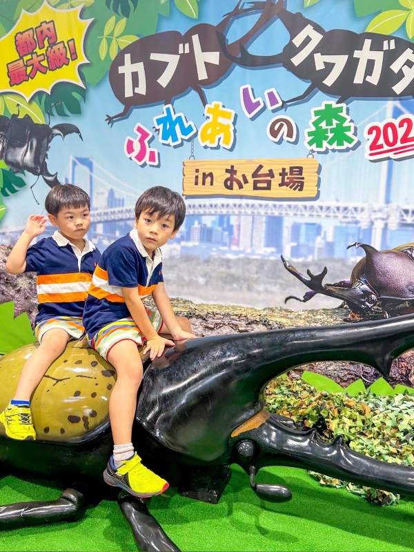 カブト・クワガタ ふれあいの森 in お台場 2024」おでかけモニター