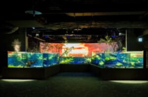 カワスイ 川崎 水族館