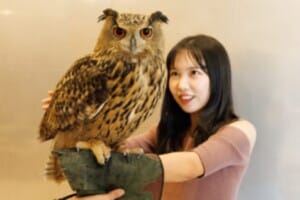 カワスイ 川崎 水族館