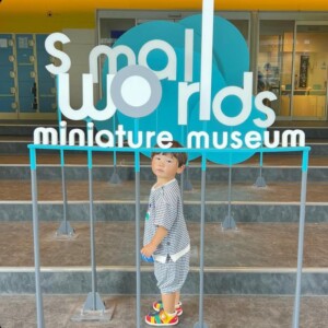 smallworlds01-1