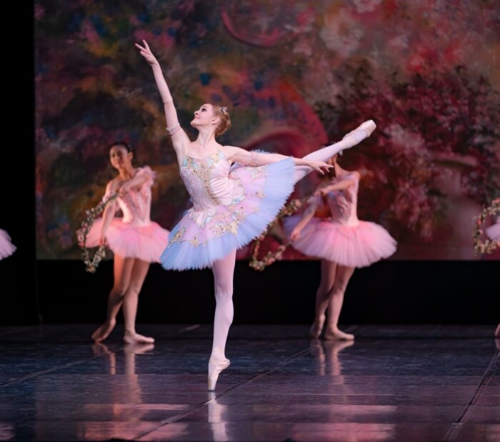 hatsuyumeballet🄫Yuki Horiguchi