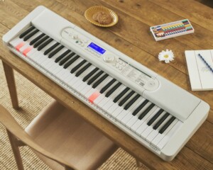 casiolk530-1