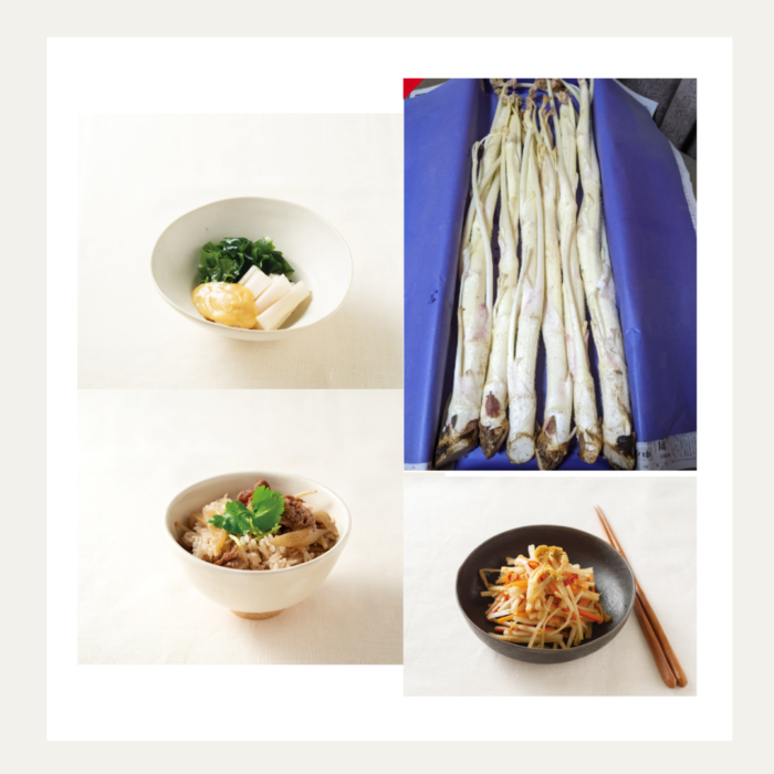 ブルー　黄色　ストライプ　幾何学　イラスト　SNS運用　セミナー　Instagramの投稿 (2)