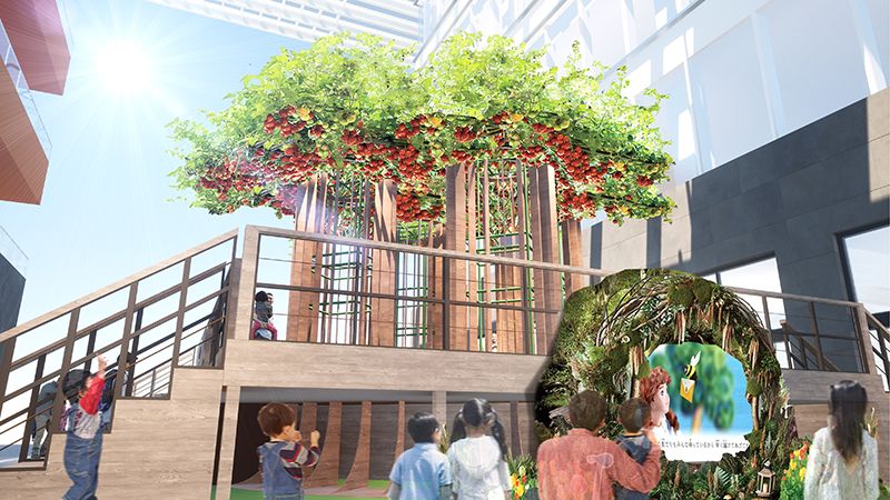 不思議の畑とトマトの樹