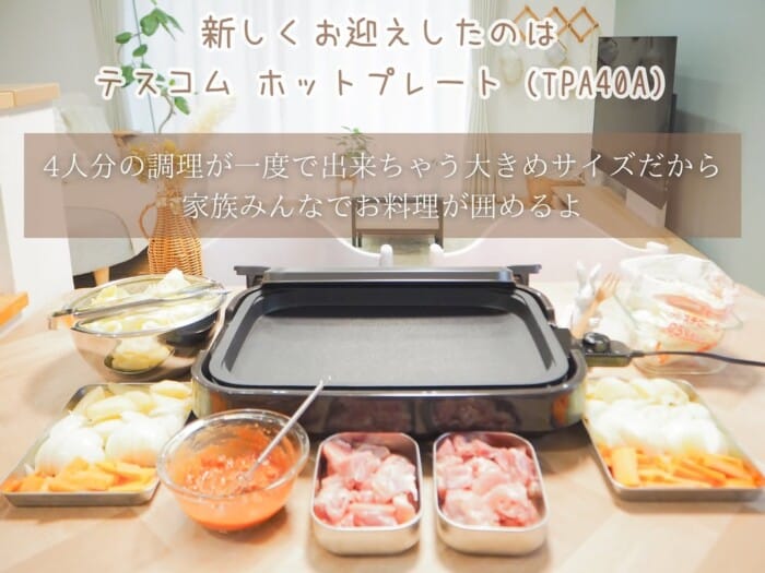 2025_04_02tescomhotplate01-4