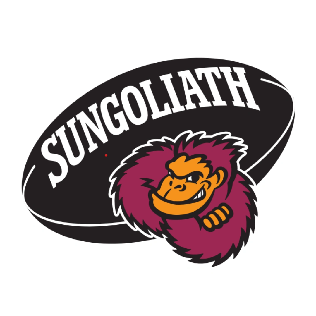 ラグビー チケット プレゼント