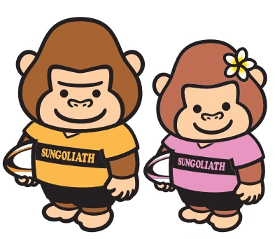 ラグビー チケット プレゼント