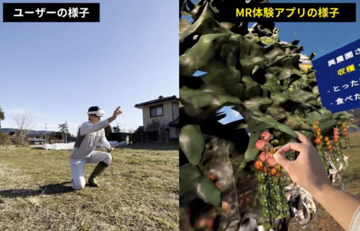 taiken_mr