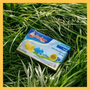 20250905anchorbutter