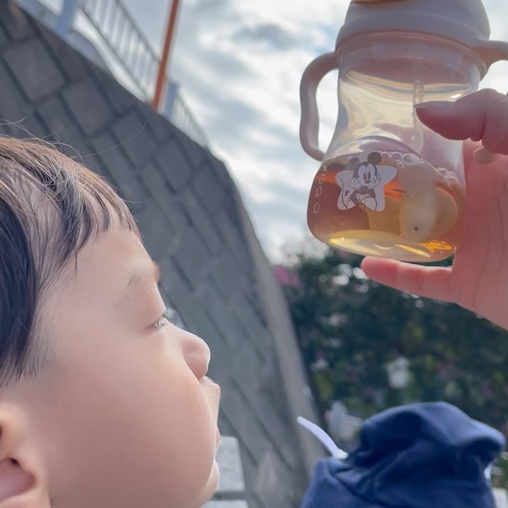 シピーカップ ディズニー 口コミ