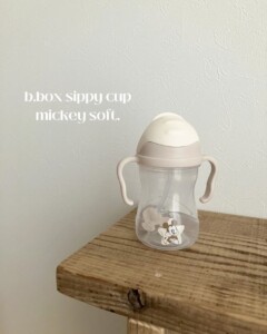 disneysoftcup02-1
