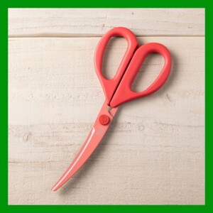 20251203curvekitchenhasami