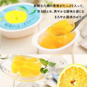 2026shimanamiyamanamihiroshimahassaku