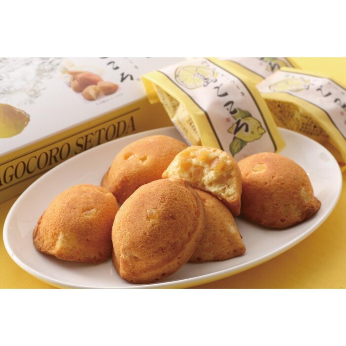 2026shimanamiyamanamihirosimalemoncake